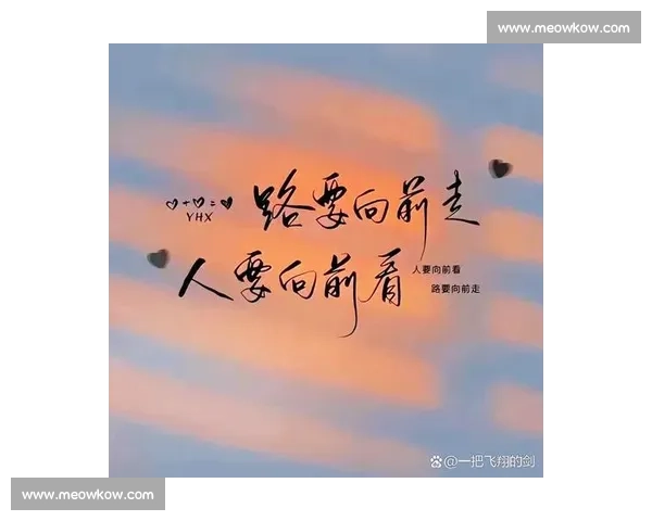 带伤复出书写坚持与信念在逆境中重生的动人篇章体育精神与不屈意志